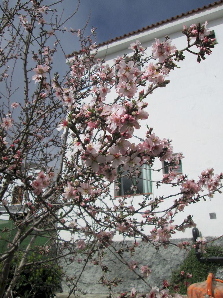 La Palma Hostel By Pension Central Fuencaliente de la Palma Εξωτερικό φωτογραφία