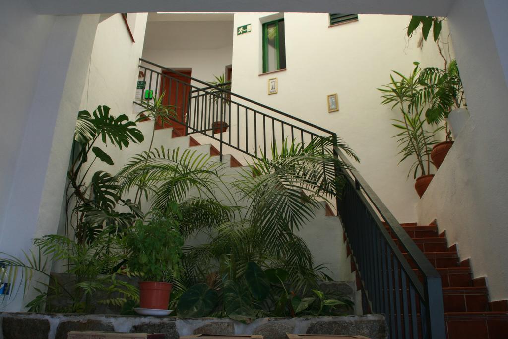 La Palma Hostel By Pension Central Fuencaliente de la Palma Εξωτερικό φωτογραφία